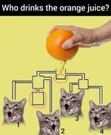 1752644453505022(1)