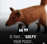 pussy fox
