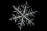 134389_shutterstock_329007164_index