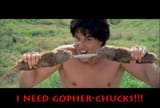 Gopher