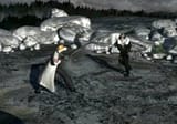 Squal_versus_Seifer
