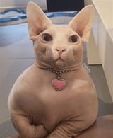 th