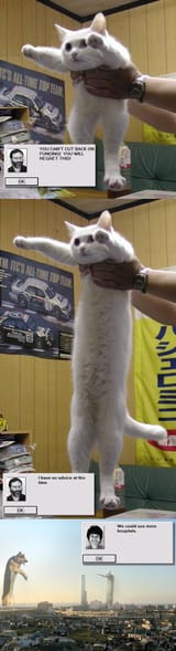 longcatsimcity