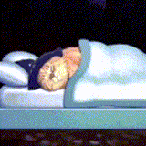 cat sleep wizard 2