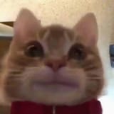 1606143653171