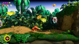 jungle