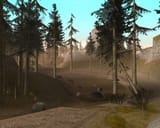 GTA SA woods