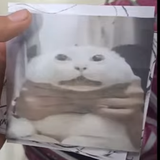 Capture