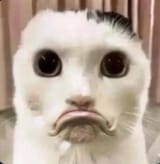 GvbMNruWQAAowVn