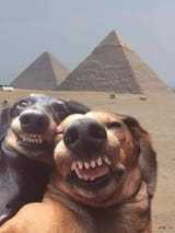 f8c796af8b66f12d
