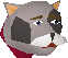 Cat_(grey_and_black)_chathead