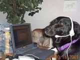 tech support 2001