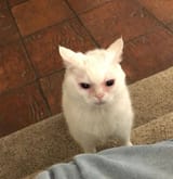 1647839562566