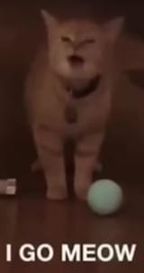 1732925332102773