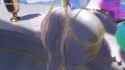 9bb1fe5d5f238da25f47e19f90f968e4_480p_thumb.jpg