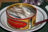 Serving_Surströmming