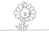 chao flower