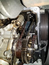 n54olgyvr4i91