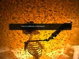 1747435955339