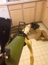 3577