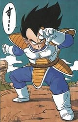 Vegeta_Dragon_Ball