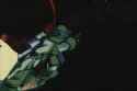 VOTOMS roots of ambition_thumb.jpg