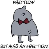 erection but also an erection