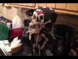 possessed skeleton