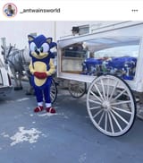 sonic_coffin