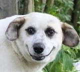 1282622332533