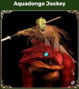 aquadongo_jockey
