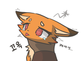 foxparks