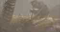 atomic pulse_thumb.jpg