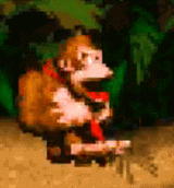 DONG