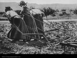 plowing women