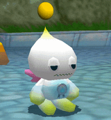 chao sit in water