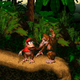 donkey kong tag