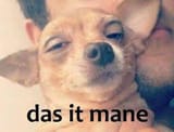 das