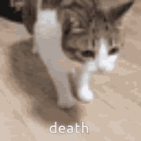 1752690250129233