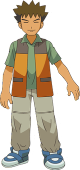 DP-Brock