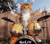 cat-drums