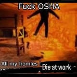 1736229183440370