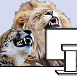 big cats laughing