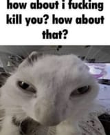 1000003645