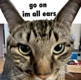 1744634504534330