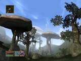 Morsovlwind