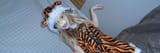 therian tiger girl
