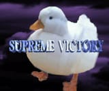 1585257363062