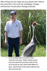 chris-crowe-bird-keeper-v0-qnx0774vq53e1