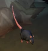 Tiny_Sewer_Rat-1270284315